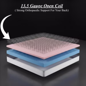 Dreamoria Ortho Align Open Coil Support Mattress