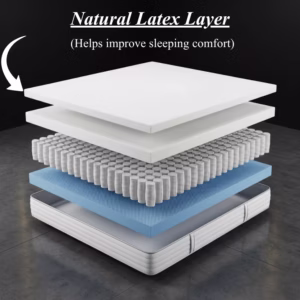 Dreamoria Sleep PureLatex 3000 Pocket Elite