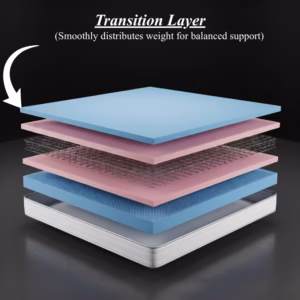 Dreamoria Ortho Align Open Coil Support Mattress