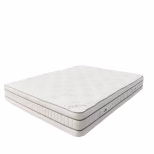 Dreamoria Sleep BackCore Blue Support Mattress