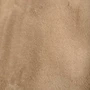 Plush Beige